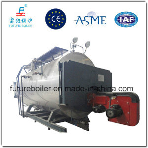 Large Capacity Gas Steam Generator