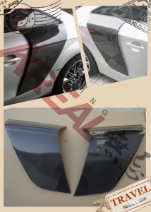 Carbon Fiber Door Fenders for Audi TT 2006 (8J)